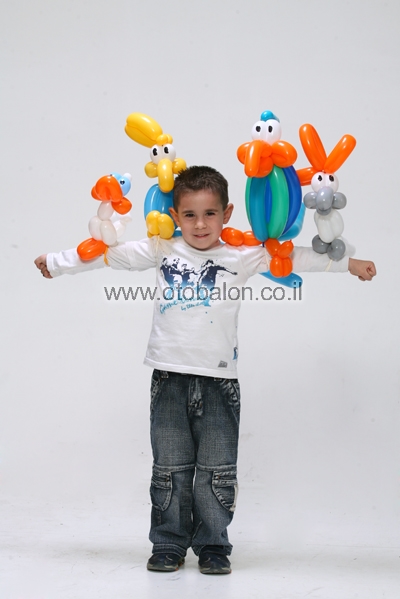 bar%20and%20%20Birds